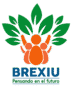 Brexiu Bienes Raices Expertos Inmobiliarios
